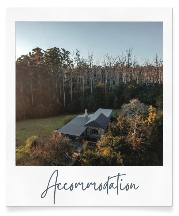 accommodation